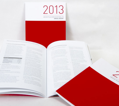 S_2013AnnualReport700x444px.jpg