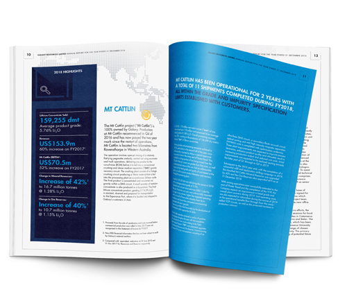 S_Galaxy_annual_report_2018_2.jpg