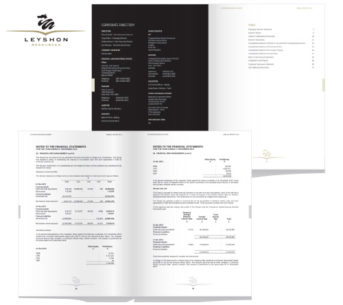S_LEYSHON--REPORT-2013_B-500X444.jpg